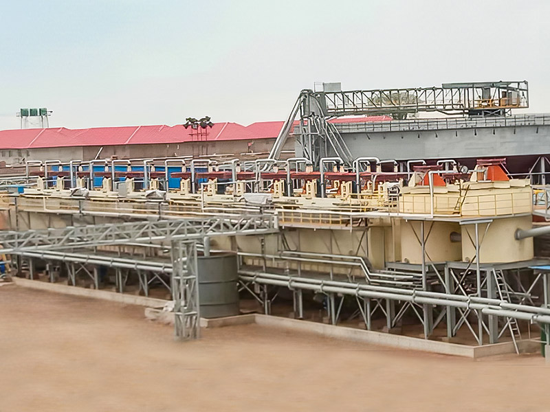 Zimbabve Lepidolit 3000T/D Mineral İşleme Projesi - Zhejiang Dingsen Holding Co., Ltd.